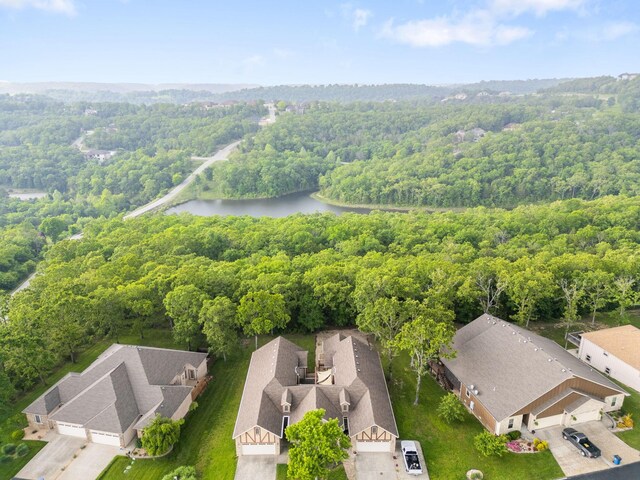 253 Cedar Glade Dr, Branson West, MO 65737 - bird's eye view of a forest and a nearby body of water