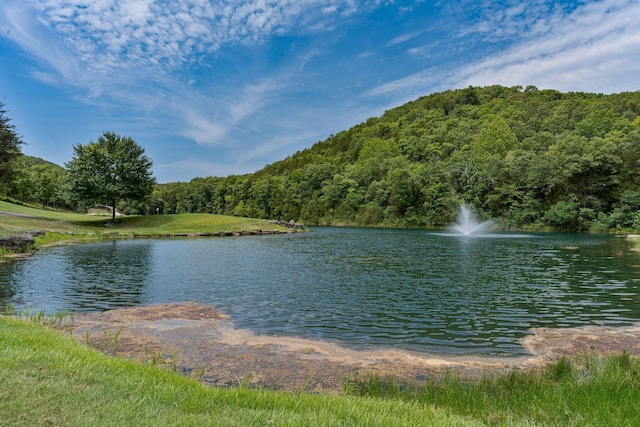 253 Cedar Glade Dr, Branson West, MO 65737 - water view with a heavily wooded area