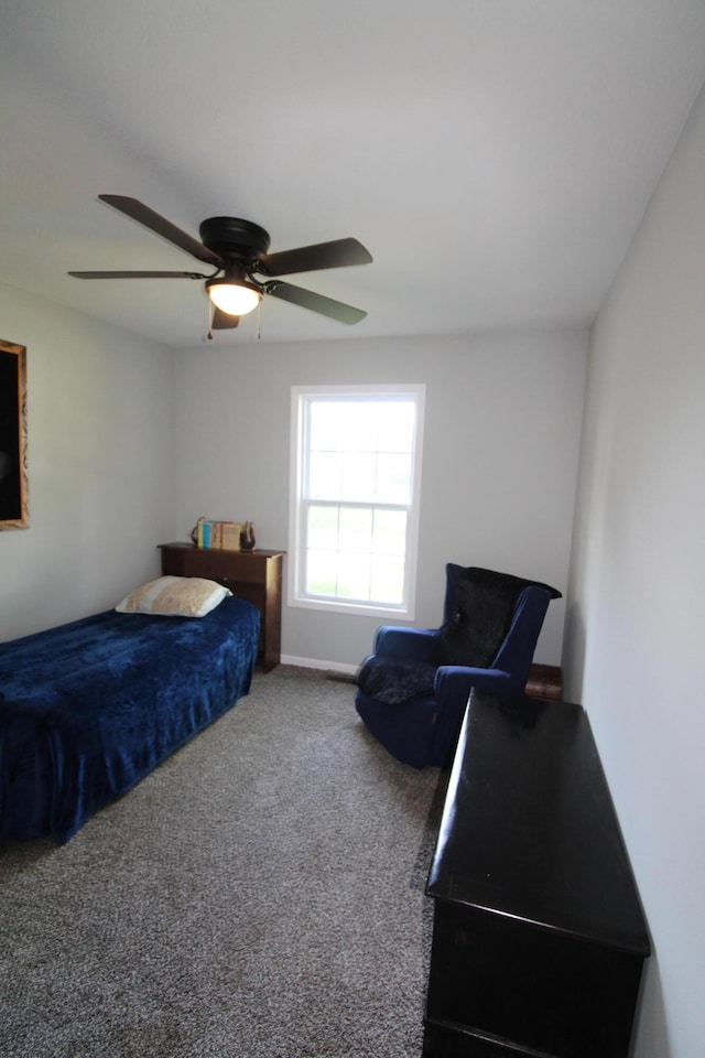 506 W Stanley St, Buffalo, MO 65622 - photo 14