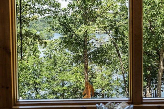 26474 Kings River Rd, Shell Knob, MO 65747 - detailed view of nearby water