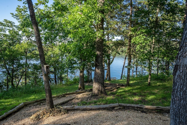 26474 Kings River Rd, Shell Knob, MO 65747 - water view
