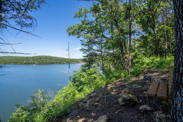26474 Kings River Rd, Shell Knob, MO 65747 - water view with a forest