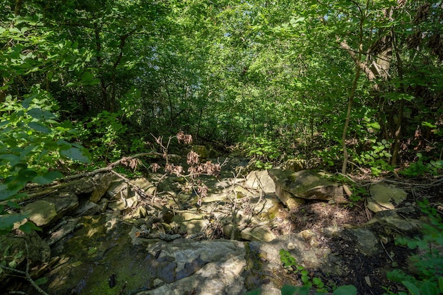 26474 Kings River Rd, Shell Knob, MO 65747 - view of woods