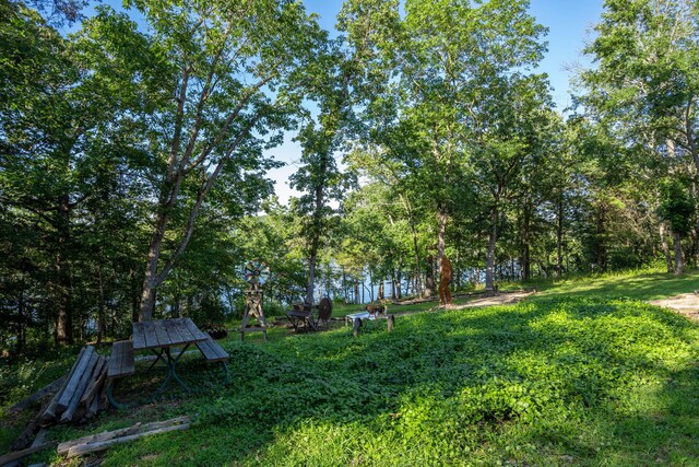 26474 Kings River Rd, Shell Knob, MO 65747 - view of yard