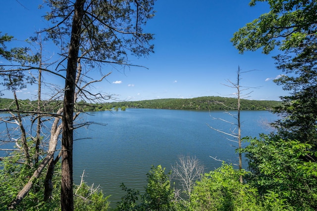 26474 Kings River Rd, Shell Knob, MO 65747 - water view