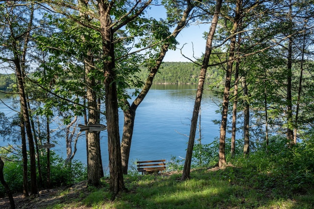 26474 Kings River Rd, Shell Knob, MO 65747 - water view with a forest