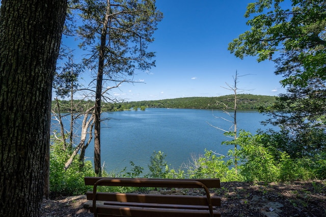 26474 Kings River Rd, Shell Knob, MO 65747 - water view