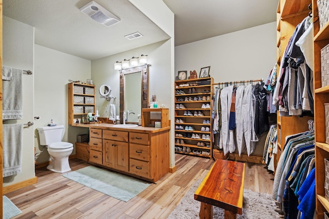 26474 Kings River Rd, Shell Knob, MO 65747 - bathroom with vanity, wood finished floors, and a spacious closet