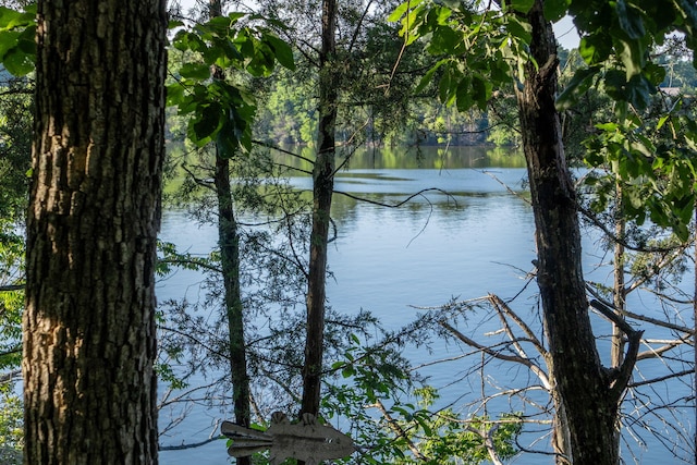 26474 Kings River Rd, Shell Knob, MO 65747 - water view