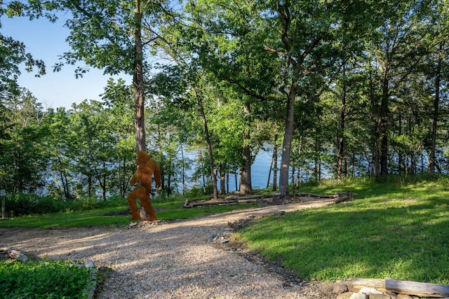 26474 Kings River Rd, Shell Knob, MO 65747 - view of grassy yard