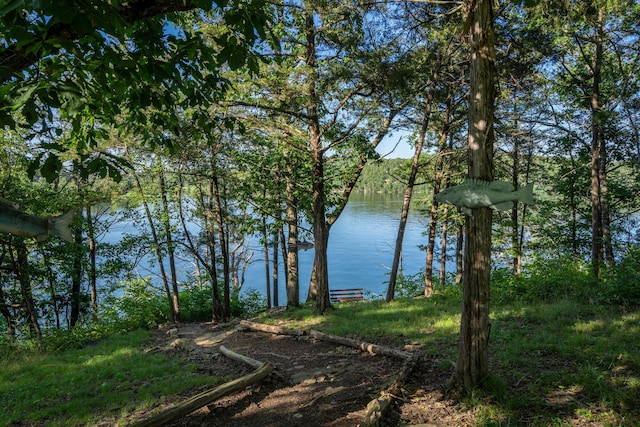 26474 Kings River Rd, Shell Knob, MO 65747 - water view