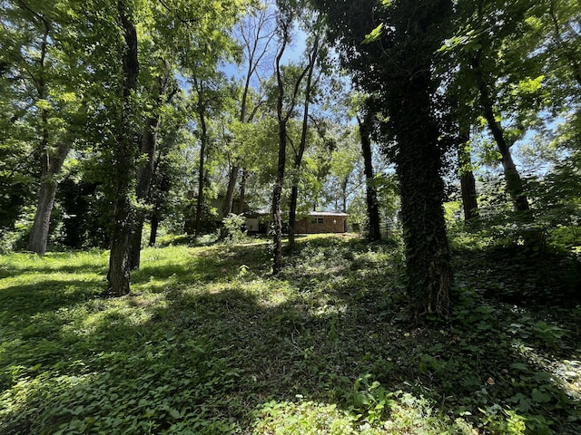805 E 13th St, Cassville, MO 65625 - view of local wilderness