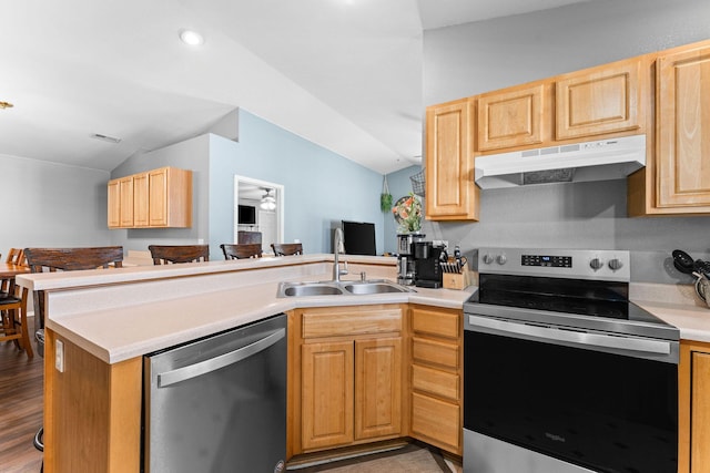 295 Deer Run Rd, Branson, MO 65616 - kitchen with appliances with stainless steel finishes, under cabinet range hood, lofted ceiling, a peninsula, and light countertops