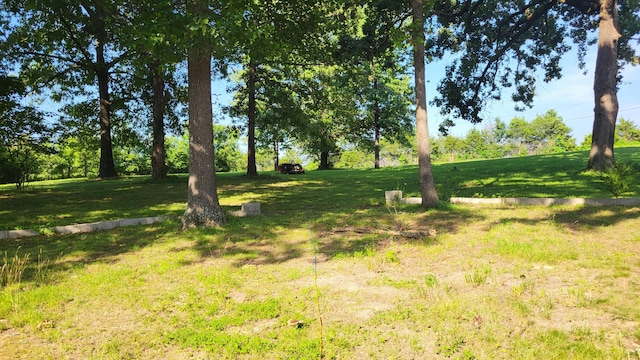210 Castle Rock Dr, Kissee Mills, MO 65680 - view of green lawn