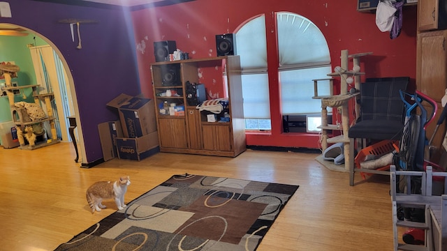 210 Castle Rock Dr, Kissee Mills, MO 65680 - interior space featuring wood finished floors and arched walkways