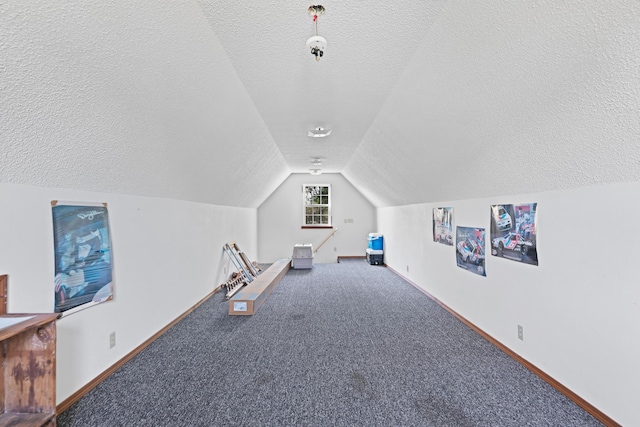 1617 Alexandra Dr, Carthage, MO 64836 - bonus room featuring a textured ceiling, vaulted ceiling, and carpet floors