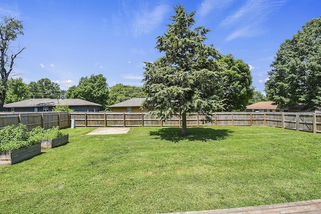3539 S Walnut Hill Dr, Springfield, MO 65807 - fenced backyard featuring a vegetable garden