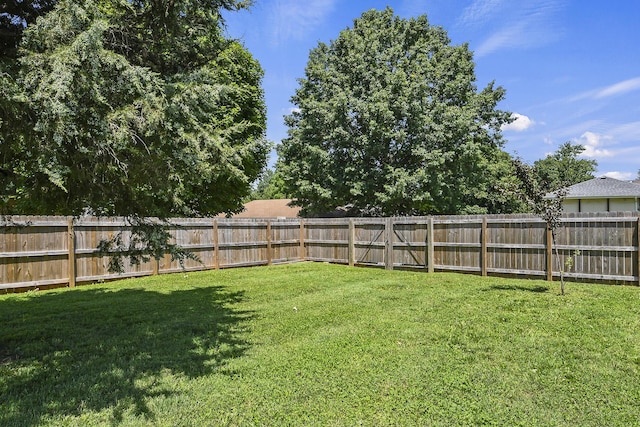 3539 S Walnut Hill Dr, Springfield, MO 65807 - view of fenced backyard