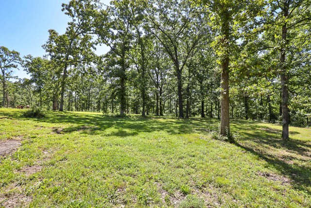 69 Deerfield Ln, Long Lane, MO 65590 - photo 31