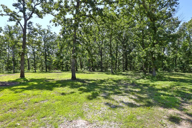 69 Deerfield Ln, Long Lane, MO 65590 - photo 27