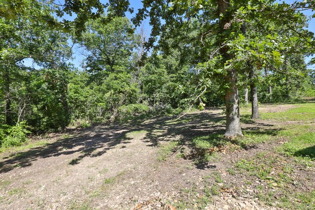 69 Deerfield Ln, Long Lane, MO 65590 - photo 25