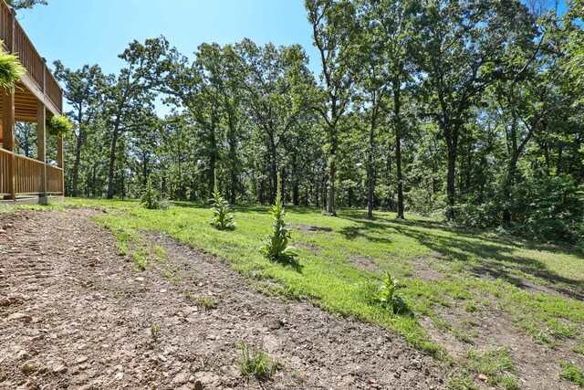 69 Deerfield Ln, Long Lane, MO 65590 - photo 26
