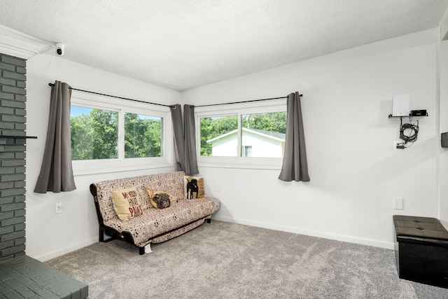13805 Hickory Dr, Neosho, MO 64850 - photo 6