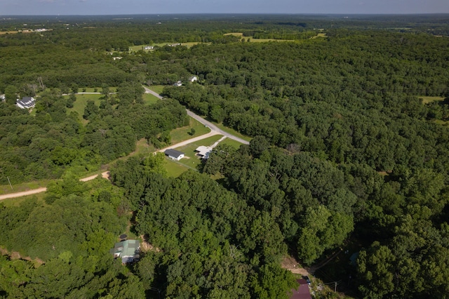 13805 Hickory Dr, Neosho, MO 64850 - photo 41
