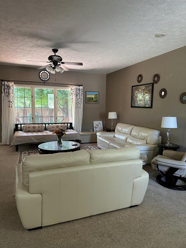 5023 S Burrows Ave S, Springfield, MO 65810 - photo 12