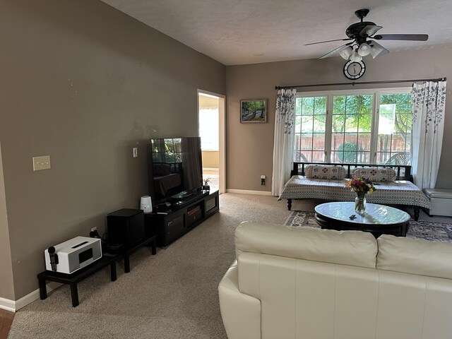 5023 S Burrows Ave S, Springfield, MO 65810 - photo 15