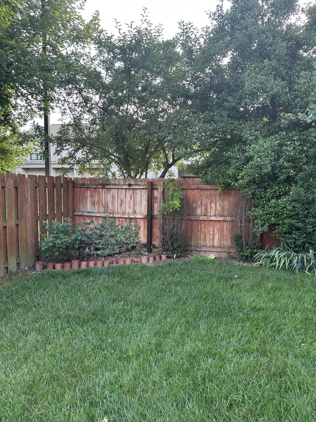5023 S Burrows Ave S, Springfield, MO 65810 - photo 5