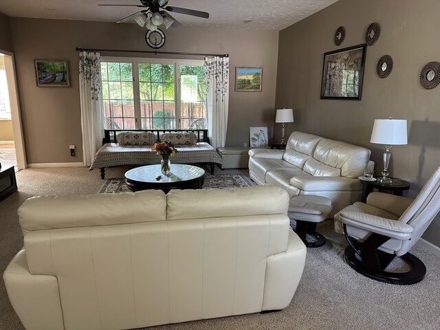 5023 S Burrows Ave S, Springfield, MO 65810 - photo 14