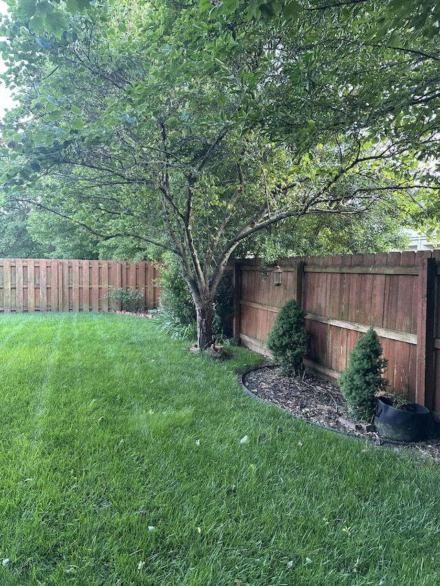 5023 S Burrows Ave S, Springfield, MO 65810 - photo 7