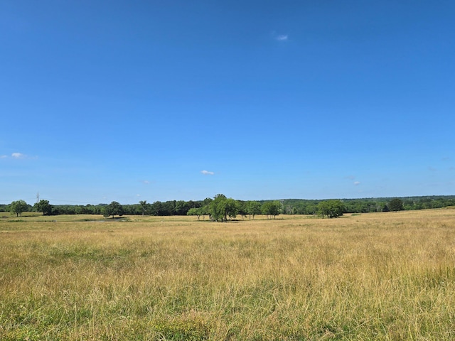 000 Spring Grove Rd, Elkland, MO 65644 - photo 24