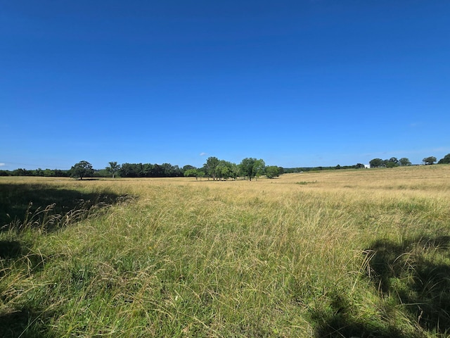 000 Spring Grove Rd, Elkland, MO 65644 - photo 21