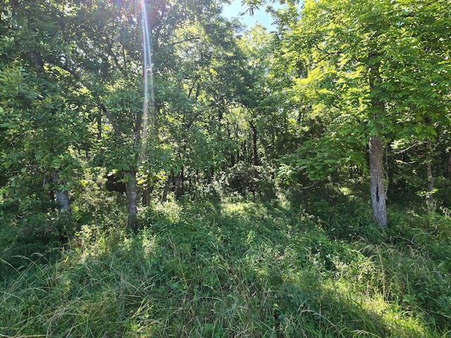 000 Spring Grove Rd, Elkland, MO 65644 - photo 20