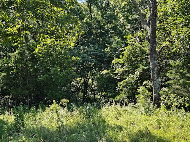 000 Spring Grove Rd, Elkland, MO 65644 - photo 19
