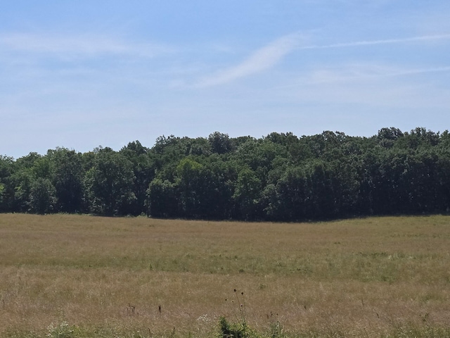 000 Spring Grove Rd, Elkland, MO 65644 - photo 17