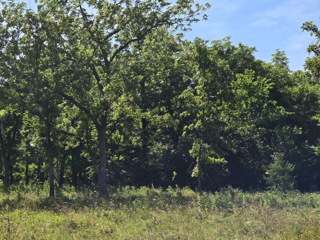 000 Spring Grove Rd, Elkland, MO 65644 - photo 18