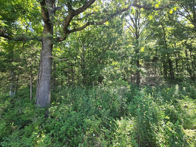 000 Spring Grove Rd, Elkland, MO 65644 - photo 22