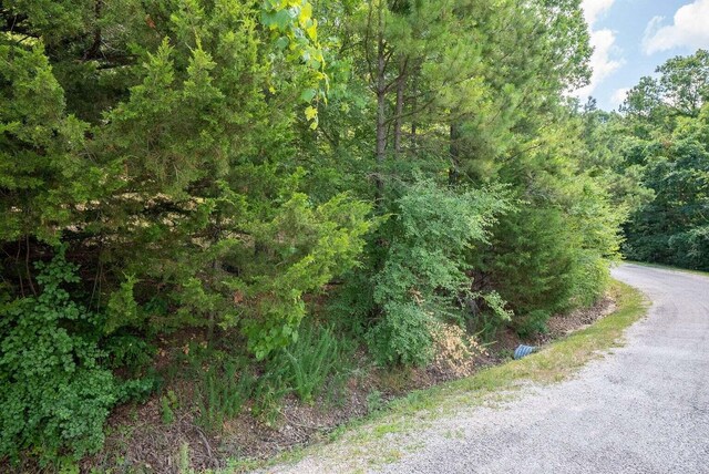000 Ponderosa Pine Dr Lot 11, Blue Eye, MO 65611 - photo 6