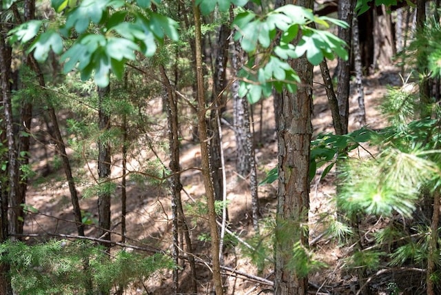 000 Ponderosa Pine Dr Lot 11, Blue Eye, MO 65611 - photo 4