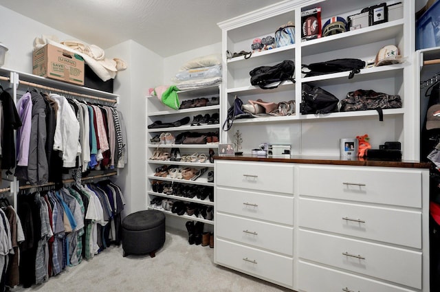 914 W Lorenza Dr, Nixa, MO 65714 - walk in closet featuring carpet