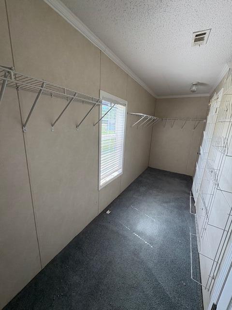 64 Inman Dr, Theodosia, MO 65761 - view of spacious closet