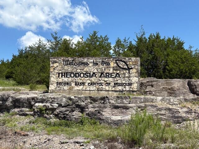64 Inman Dr, Theodosia, MO 65761 - view of community sign