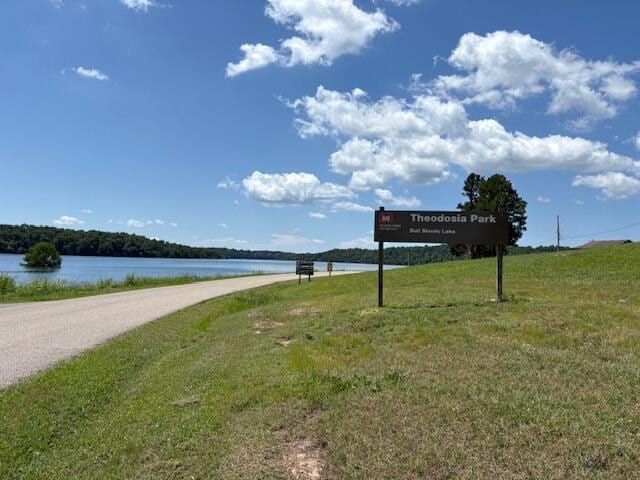 64 Inman Dr, Theodosia, MO 65761 - water view