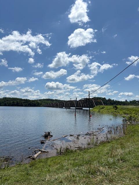 64 Inman Dr, Theodosia, MO 65761 - water view
