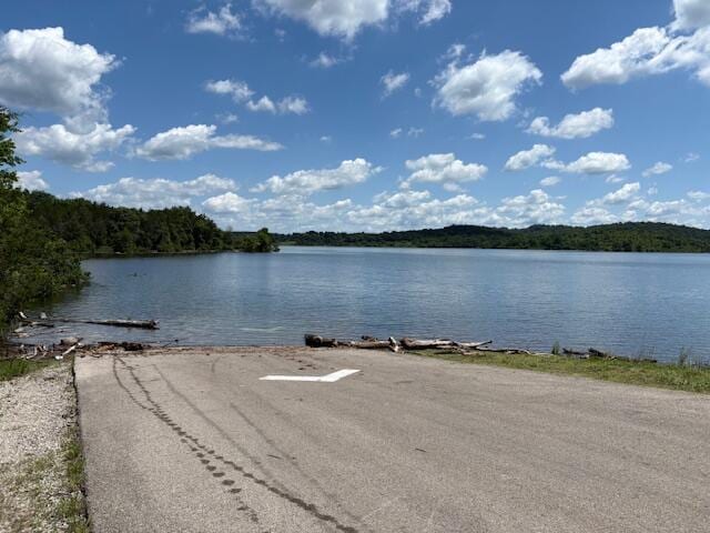 64 Inman Dr, Theodosia, MO 65761 - water view with a heavily wooded area