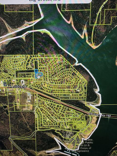 64 Inman Dr, Theodosia, MO 65761 - map of property location