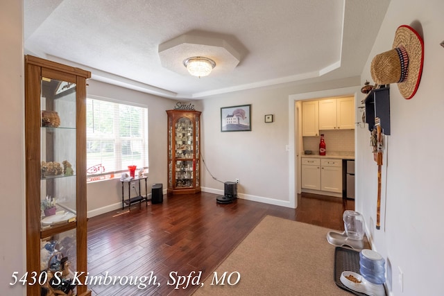 5430 S Kimbrough Ave, Springfield, MO 65810 - interior space featuring dark wood finished floors, a tray ceiling, and a textured ceiling